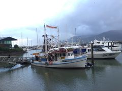 -黄金海岸