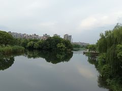 -新江湾城公园