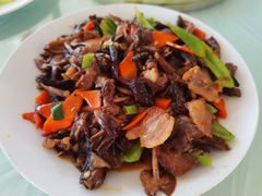 -庆岭迎宾园正宗活鱼馆