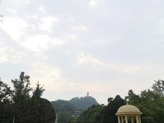 -南山植物园