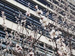 -天津梅江印象城