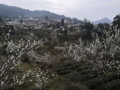 -樱桃山旅游景区