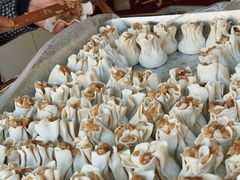 -王氏烧麦大骨汤水饺