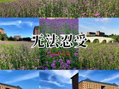 -浙江大学(紫金港校区)