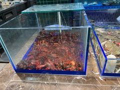 -尚宴牛特鲜自助(太原街万达店)