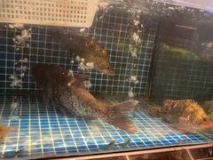 -绍兴中金豪庭大酒店·豪庭阁中餐厅
