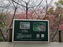 -福道