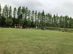 景点-前小桔亲子创意农场·草莓采摘·露营烧烤