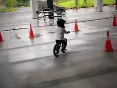 -趣动熊运动发展中心(乐坊校区)