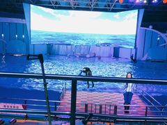 -海合安青岛极地海洋公园