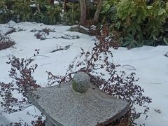 -威海天沐度假区温泉
