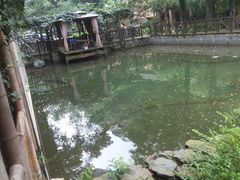 -天怡·鱼工厂(梅溪湖店)