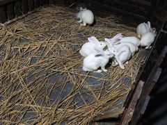 -常州海昌海洋探索馆