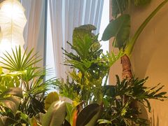 -漾花汐·西餐·下午茶(苏州湾歌林公园店)
