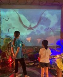 -恐龙探索乐园(磁器口店)