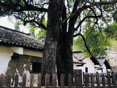 -毛泽东同志旧居