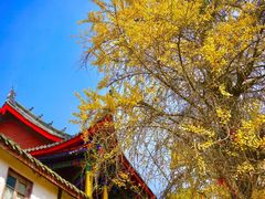 -金堂县云顶石城风景区