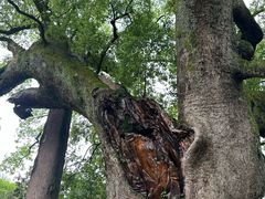 -新安江山水画廊风景区