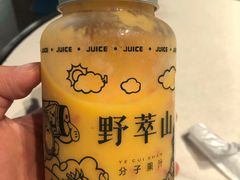 -野萃山·潮汕厚果汁(十亩地店)