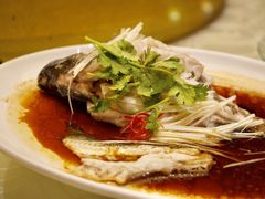 -上海千禧海鸥大酒店