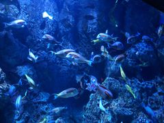 -成都浩海立方海洋公园