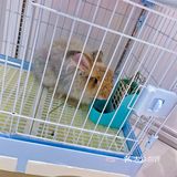 深圳首家｜遇见萌宠体验馆🐰