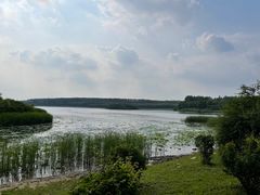 -丁香湖公园