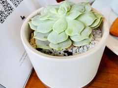 -武汉马哥孛罗酒店