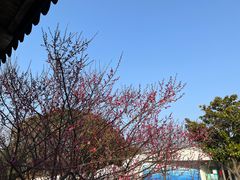 -蠡湖大桥公园