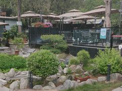 -蘇河湾·新鲁菜·泰山宴(泰山店)