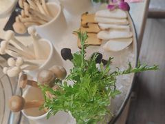 -芭夯兔·兔肉汤锅(新都店)