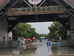 -上海海湾国家森林公园