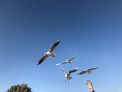 -捞渔河湿地公园