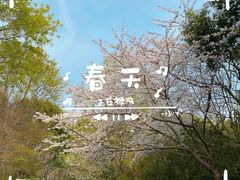 -上海滨江森林公园