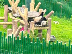 -沈阳森林动物园