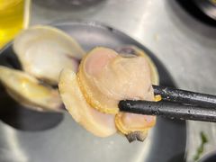 -水哥卜卜贝(东晓·胜汇里店)