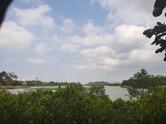 -华侨城湿地公园