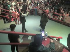 -俄罗斯国家大马戏团