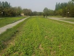 -北坞公园