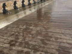 -碧海金沙