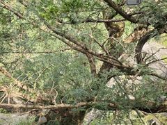 -磐安十八涡风景区