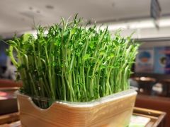 -海底捞火锅(航洋城店)