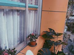 -朴谷之食
