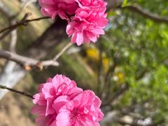 -海棠花溪(元大都城垣遗址公园)