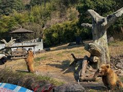 -宁波野生动物园