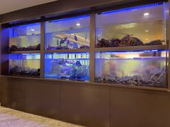 -南海渔村(珠江新城店)