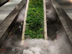 -湊湊火锅·茶憩(石家庄万象城店)