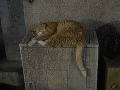 -闲·胡同 Barblu Hutong(雍和宫五道营店)