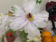 -双季花艺园艺市场(浦东店)