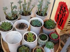 -吃饼人西餐(南开店)